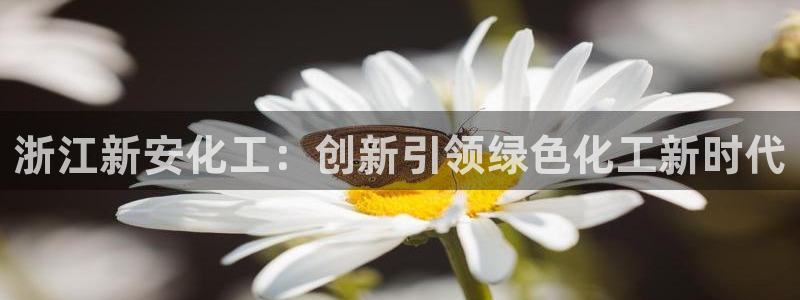 球盟会官方下载