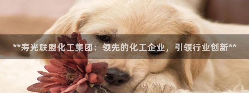 球盟会电子好下吗：**寿光联盟化工集团：领先的化工企业，引领