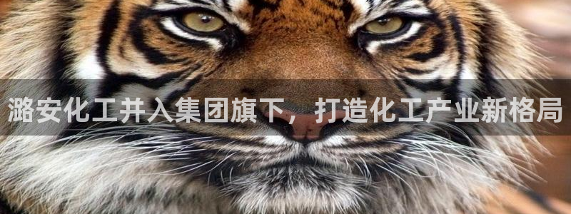 球盟会能退钱吗知乎