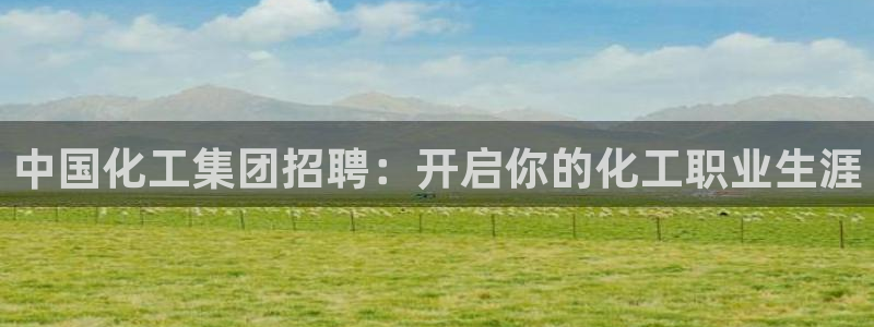球盟会官方版下载地址