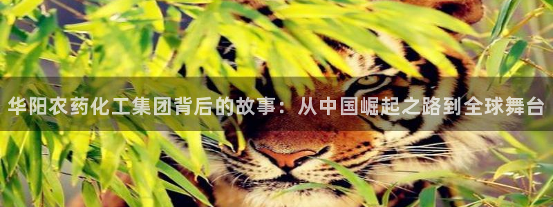 球盟会能退钱吗