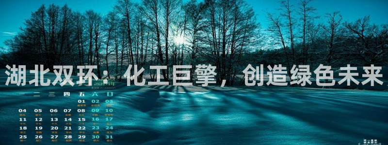 球盟会黑台子吗：湖北双环：化工巨擎，创造绿色未来