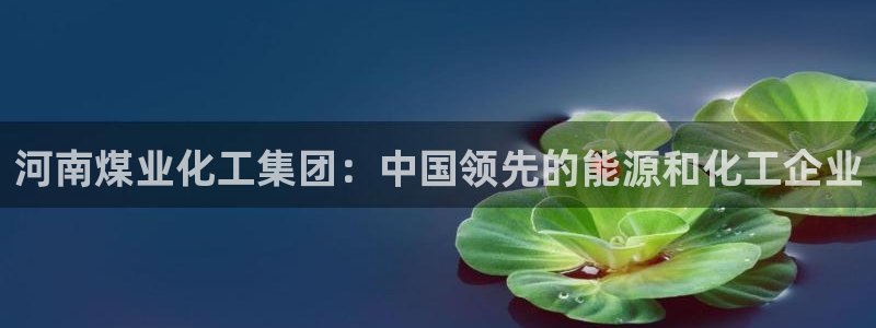 球盟会官方入口：河南煤业化工集团：中国领先的能源和化工企业