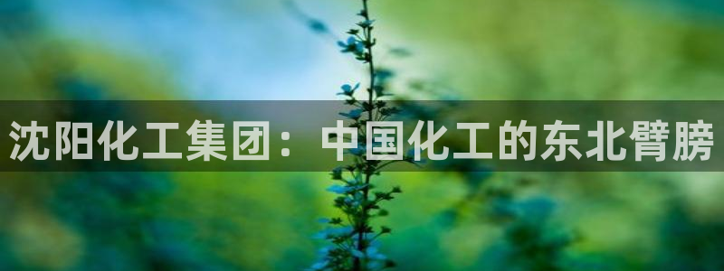球盟会app入口