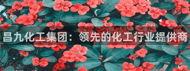 球盟会入口：昌九化工集团：领先的化工行业提供商