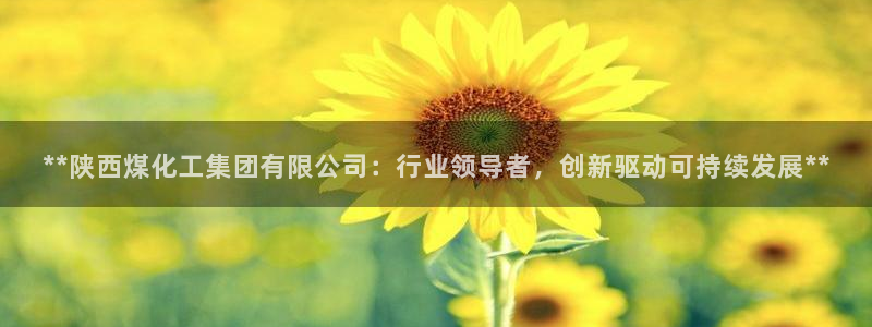 球盟会官方网入口：**陕西煤化工集团有限公司：行业领导者，创