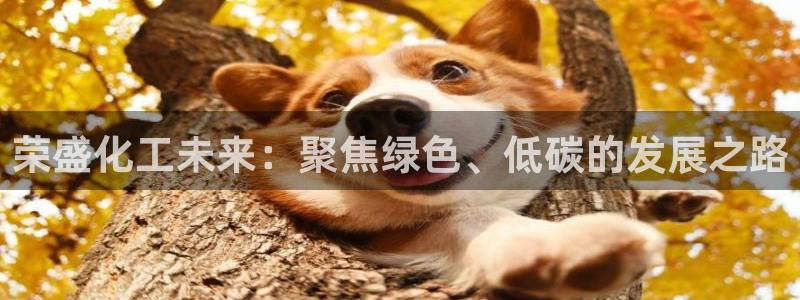 球盟会官方登录平台：荣盛化工未来：聚焦绿色、低碳的发展之路