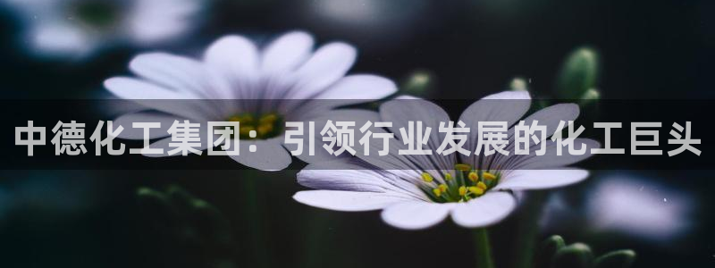 球盟会官方网站
