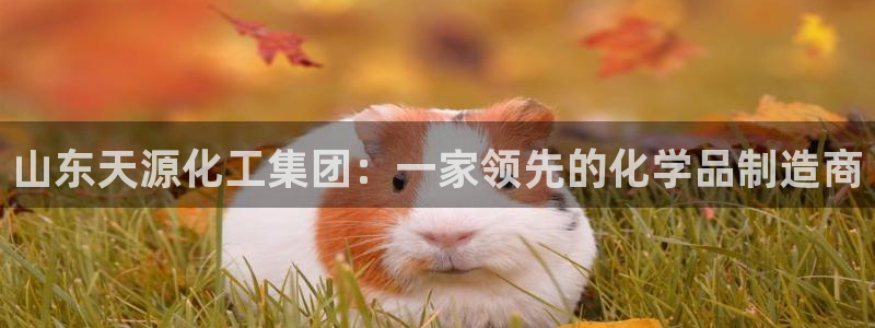 球盟会出款黑了