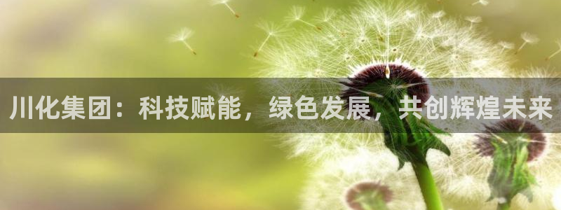 球盟会在线登录：川化集团：科技赋能，绿色发展，共创辉煌未来