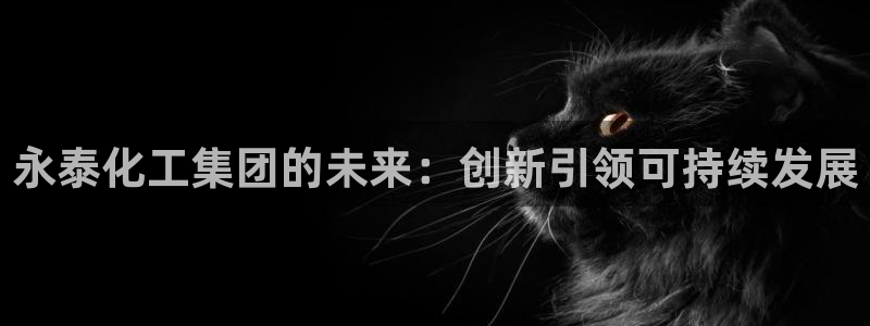 球盟会官方网站app：永泰化工集团的未来：创新引领可持续发展