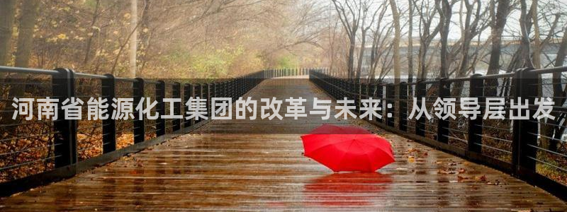 球盟会官方网站是什么：河南省能源化工集团的改革与未来：从领导