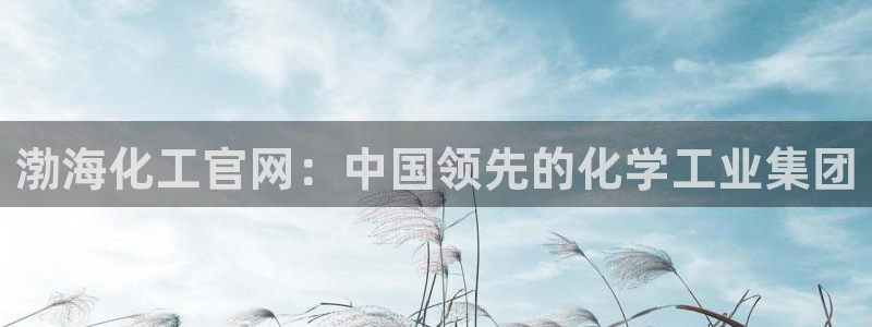 球盟会登陆中心