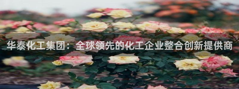 球盟会官方登录平台：华泰化工集团：全球领先的化工企业整合创新
