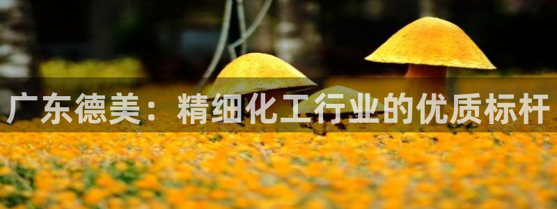 球盟会app入口