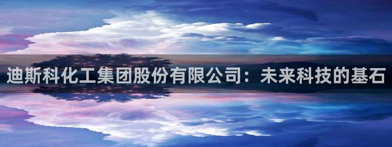 球盟会官方登录平台：迪斯科化工集团股份有限公司：未来科技的基
