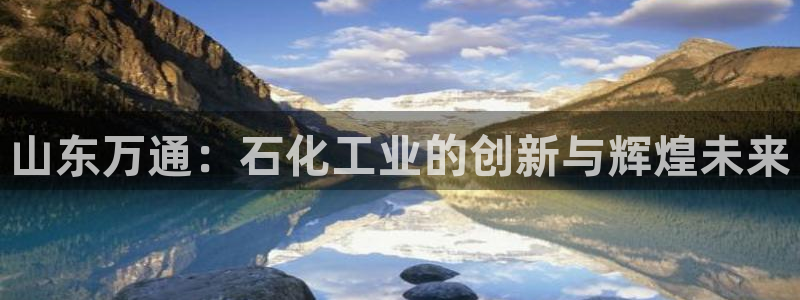 球盟会网址qm9 - 球盟会qmh网页版登录：山东万通：石化