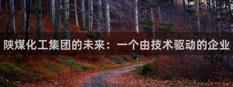 球盟会app安装：陕煤化工集团的未来：一个由技术驱动的企业
