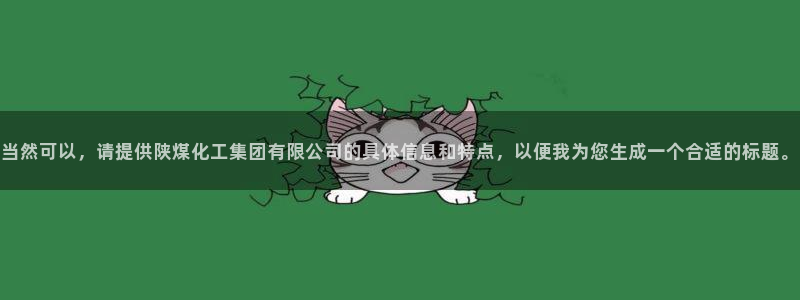 球盟会提款支付宝怎么样：当然可以，请提供陕煤化工集团有限公司