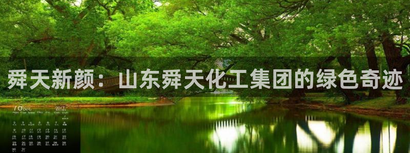 球盟会在线网站：舜天新颜：山东舜天化工集团的绿色奇迹
