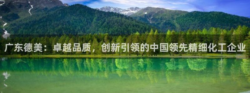 球盟会用的客服聊天是哪个软件：广东德美：卓越品质，创新引领的