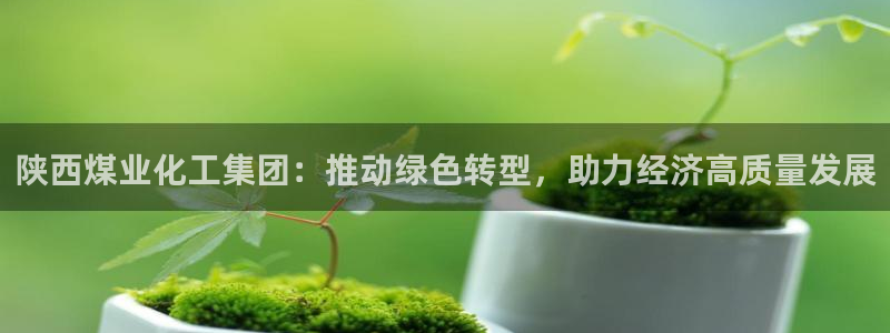 球盟会qmh：陕西煤业化工集团：推动绿色转型，助力经济高质量