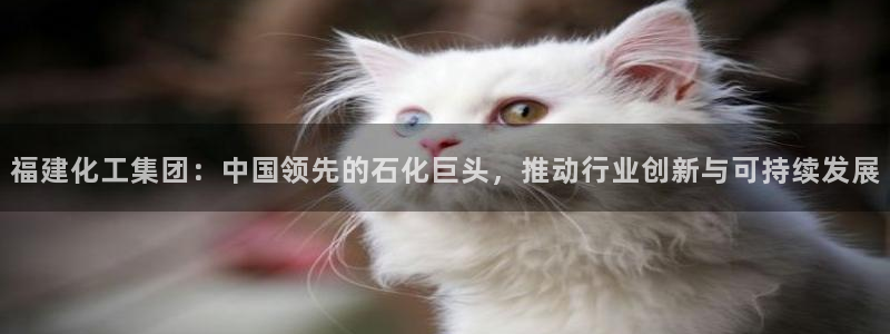千亿球盟会：福建化工集团：中国领先的石化巨头，推动行业创新与