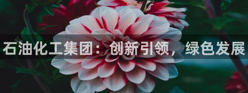 球盟会网页登录：石油化工集团：创新引领，绿色发展