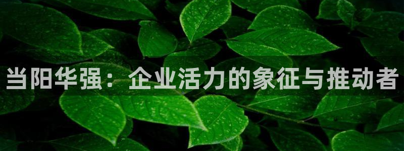 球盟会邮箱：当阳华强：企业活力的象征与推动者