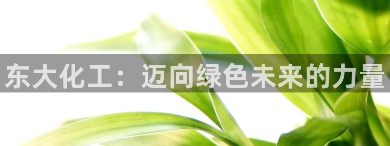 球盟会在线登录：东大化工：迈向绿色未来的力量