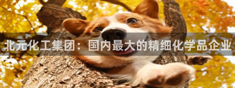 千亿球盟会：北元化工集团：国内最大的精细化学品企业