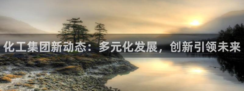 球盟会体验金球奖吗：化工集团新动态：多元化发展，创新引领未来