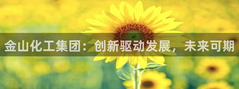 球盟会官网app下载：金山化工集团：创新驱动发展，未来可期