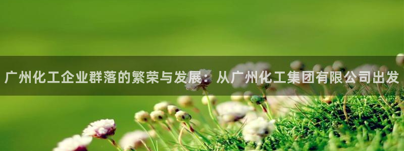 球盟会官网网页版：广州化工企业群落的繁荣与发展：从广州化工集