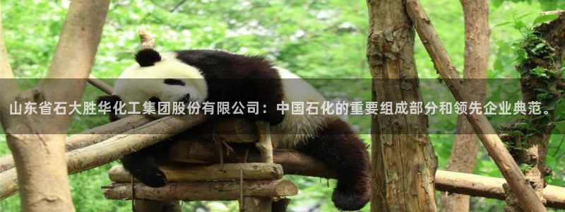 球盟会app：山东省石大胜华化工集团股份有限公司：中国石化的