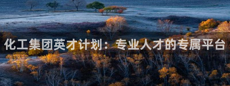 球盟会网址多少：化工集团英才计划：专业人才的专属平台