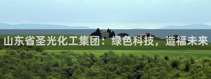 球盟会有没有黑单的球员：山东省圣光化工集团：绿色科技，造福未