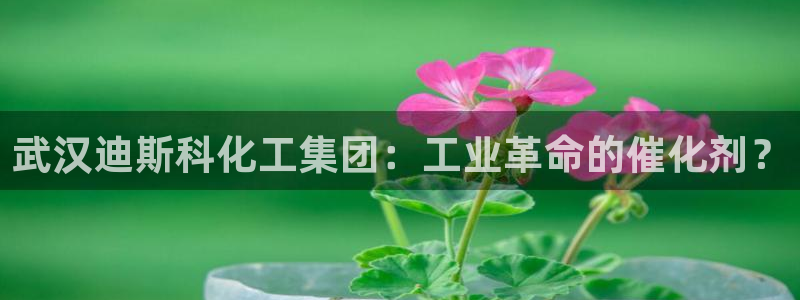 球盟会登陆入口：武汉迪斯科化工集团：工业革命的催化剂？