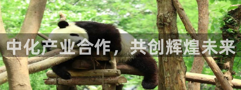 球盟会App：中化产业合作，共创辉煌未来