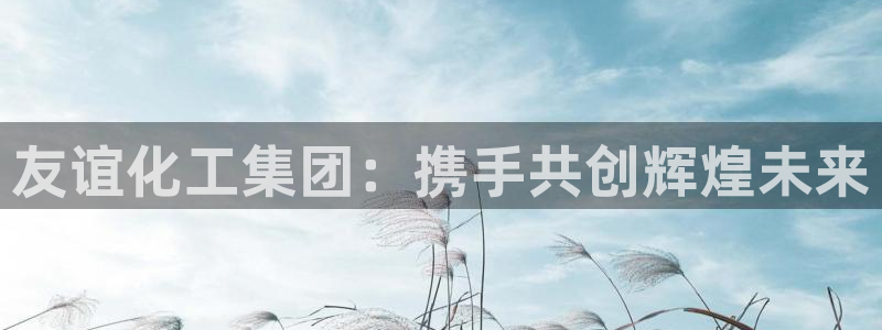 球盟会APP官网：友谊化工集团：携手共创辉煌未来