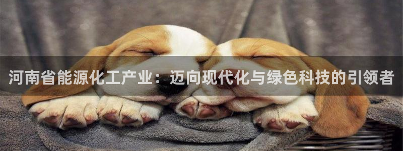 球盟会app最新地址在哪里：河南省能源化工产业：迈向现代化与