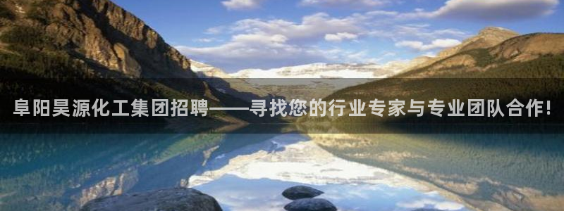 球盟会游戏：阜阳昊源化工集团招聘——寻找您的行业专家与专业团