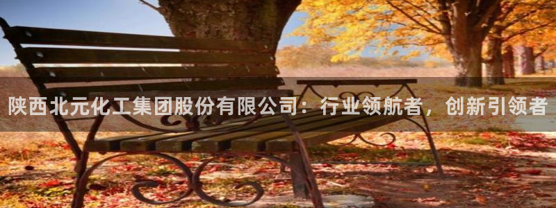 球盟会和中欧会的区别：陕西北元化工集团股份有限公司：行业领航