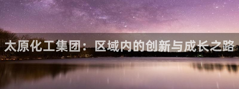 球盟会出款黑了：太原化工集团：区域内的创新与成长之路