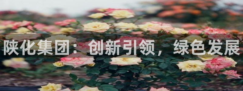 球盟会手机网页版：陕化集团：创新引领，绿色发展