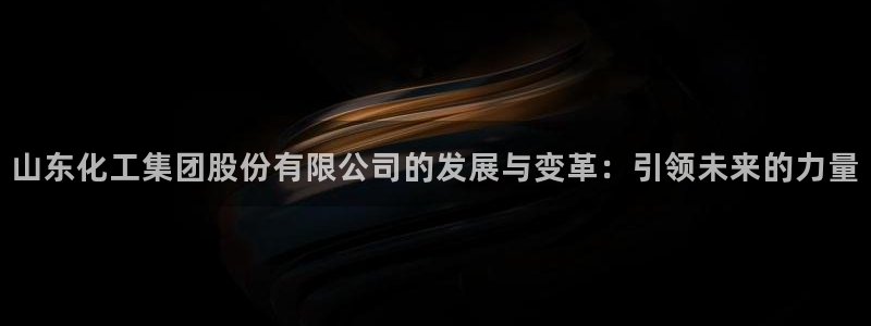 球盟会能退钱吗：山东化工集团股份有限公司的发展与变革：引领未