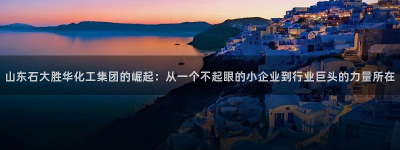 球盟会在线登入：山东石大胜华化工集团的崛