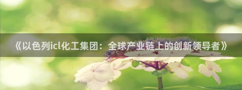 球盟会进不去球员吗：《以色列icl化工集团：全球产业链上的创