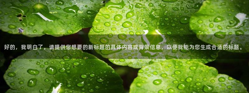 球盟会中国网页登录：好的，我明白了。请提