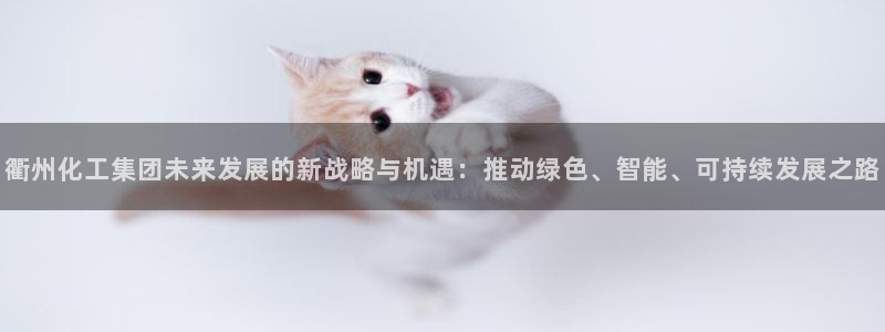 球盟会黑钱：衢州化工集团未来发展的新战略